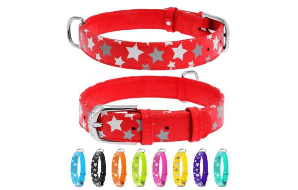 Reflective Leather Dog Collar in Red | WAUDOG | COLLAR America