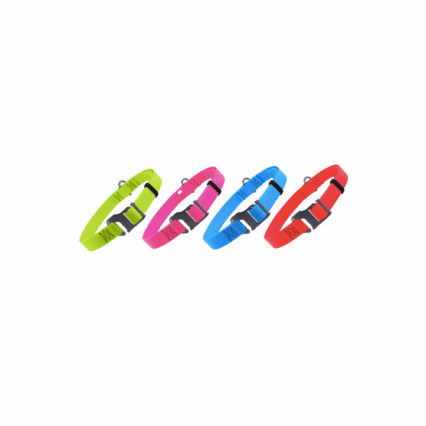 COLLAR America | WAUDOG | Waterproof Dog Collar