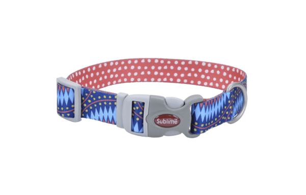 Coastal Pet Sublime® Adjustable Dog Collar