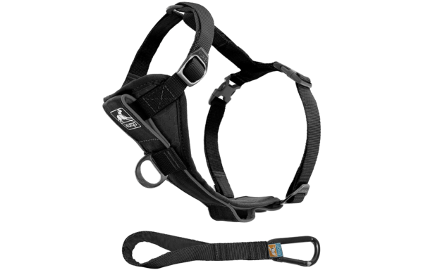Kurgo Tru-Fit Smart Harness, Dog Harness, Pet Walking Harness, Quick Release Buckles, Front D-Ring for No Pull Training, Includes Dog Seat Belt Tether, For Small, Medium, & Large Dogs.