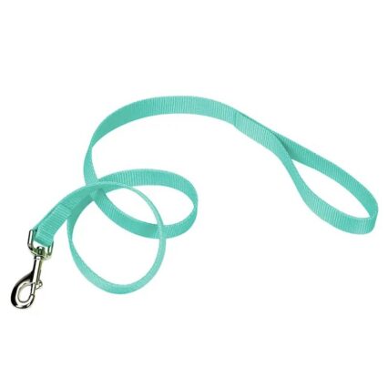 Coastal Pet Single-ply Teal Nylon Dog Lead