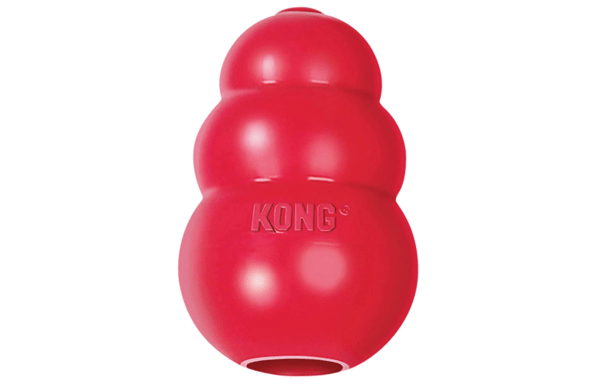 KONG Puppy Natural Rubber Chewing Dog Toy, Large