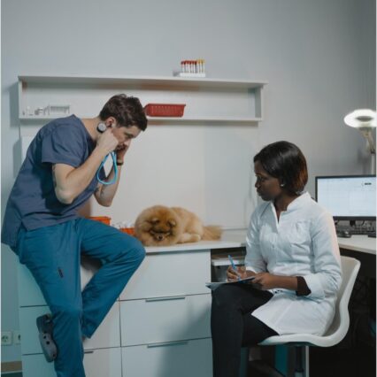 Veterinary Services