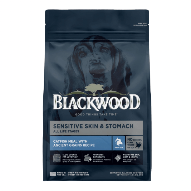 Blackwood Sensitive Catfish 10.9Kg